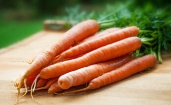 The Benefits of Carrots: A Nutritional Powerhouse