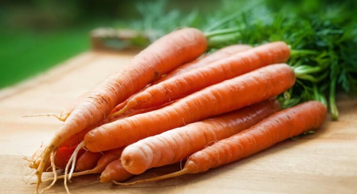 The Benefits of Carrots: A Nutritional Powerhouse